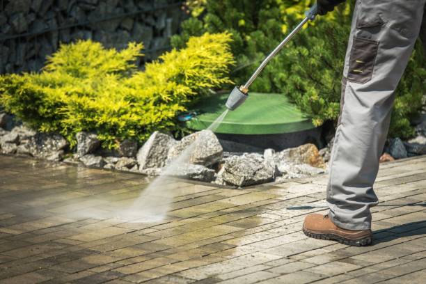 Reliable Roan Mountain, TN Pressure Washing Services Solutions